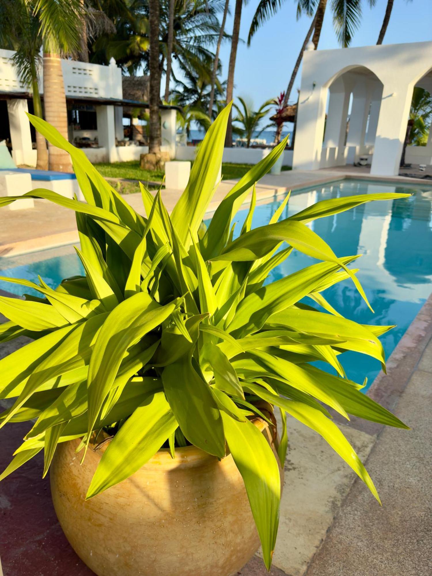 Sawa Sawa Beach House Msambweni Εξωτερικό φωτογραφία