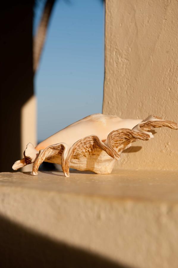 Sawa Sawa Beach House Msambweni Εξωτερικό φωτογραφία